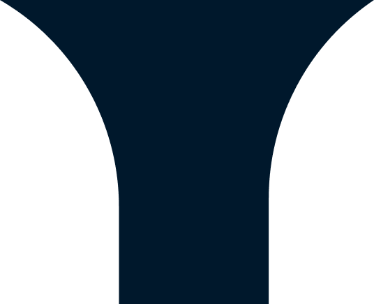 Logo anim